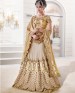 wedant FAshion Wedding Heavy Work Dulhan Collection Self Design Lahengha Choli Beige & Gold